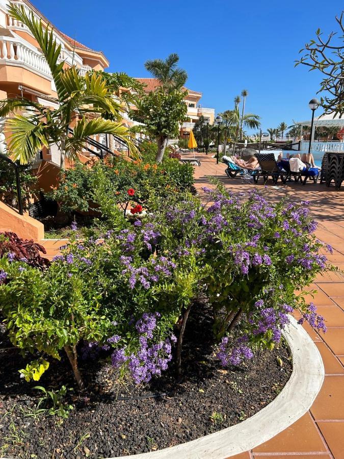 Comfort Apartment En Tenerife Royal Gardens Плая-де-лас-Америкас Экстерьер фото